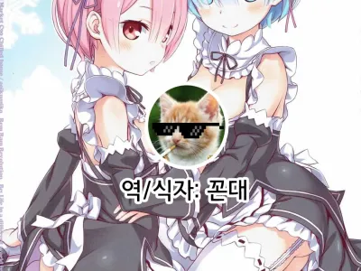 Rem Ram Revolution