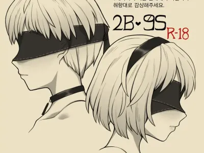 2B 9S