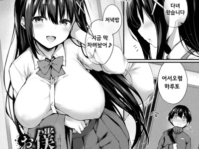 Boku no Onee-chan | 나의 누나 (decensored)